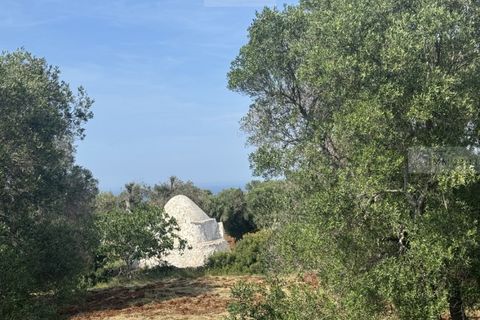 Helårsgrund i Carovigno, Brindisi, Carovigno - € 60.000 | Ref: tem3 - foto 1
